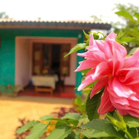 Yoho Nilmini Homestay Ella Exterior photo