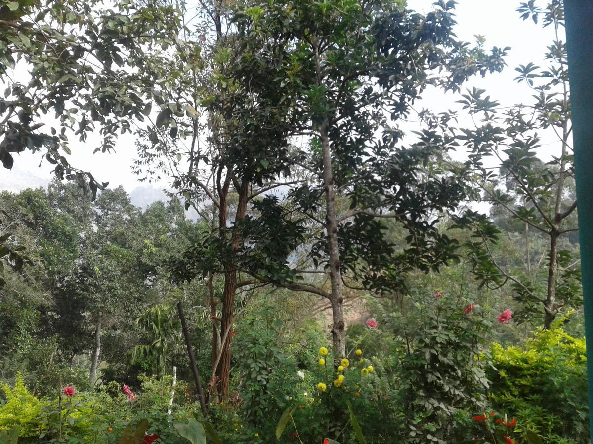 Yoho Nilmini Homestay Ella Exterior photo