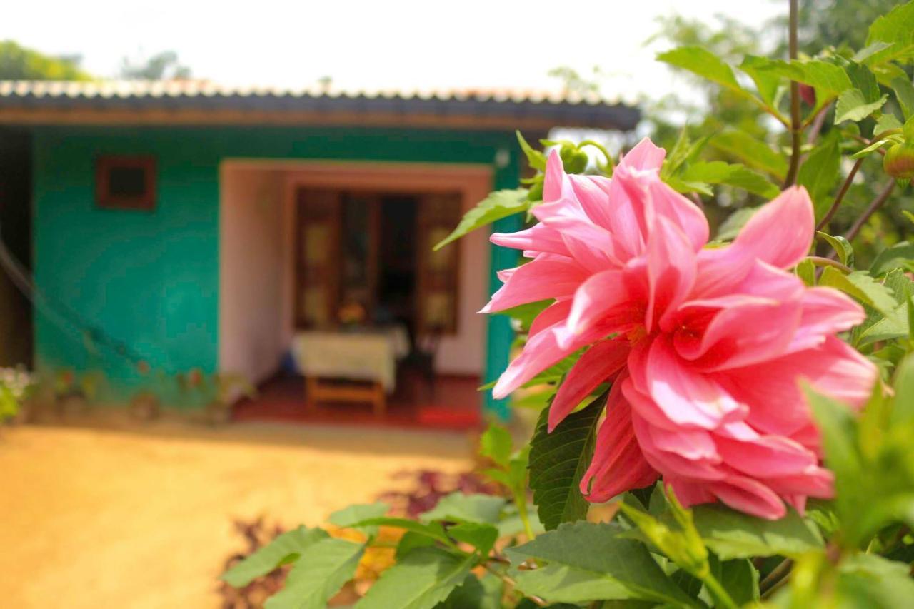 Yoho Nilmini Homestay Ella Exterior photo